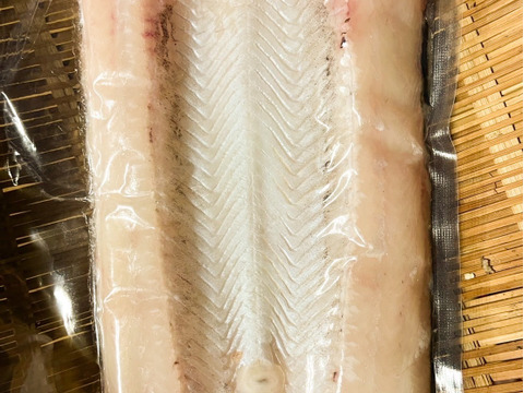 冬の特大天然ハモ❗️ 青森県　津軽海峡産‼️ 1匹分　3パック