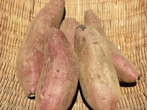 熊本県産オーガニックさつまいも！べにはるか【ねっとり蜜が溢れる濃厚な甘さ】（3kg）焼き芋がまるでスイートポテト！