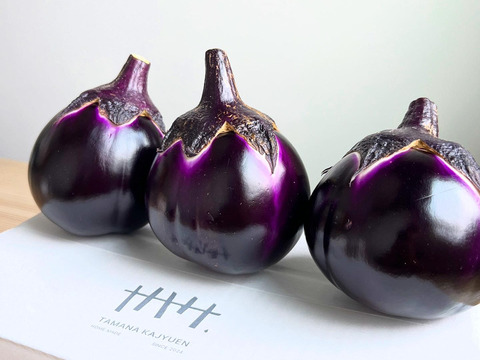 メランツアーネ･ビステッカ　6個入