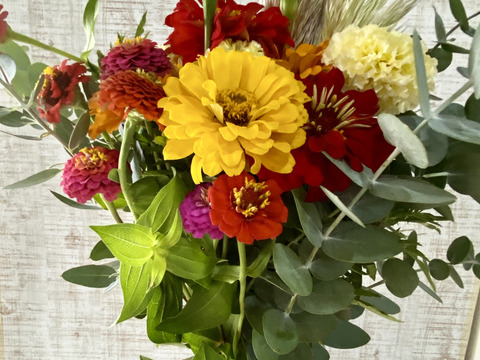 【もりもりお任せカラフルブーケ】クール便、人気ありパンパスグラスを添えたブーケ。産地直送