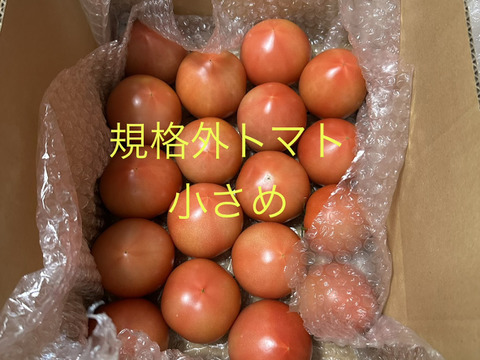 規格外小さめ★80サイズ箱詰め合わせ