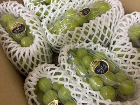 岡山県産シャインマスカット5房〜６房 　約3.5kg（大箱）