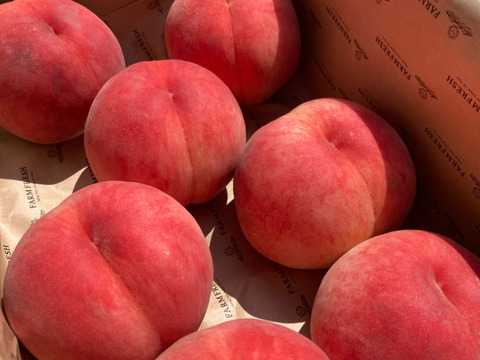 『十文字ピーチ』産地の特徴が活きた美味しい桃です！（家庭用に・３kg）