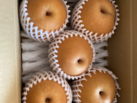 日迎梨　家庭用　林農園オリジナル品種 約2.5kg(4～7玉)