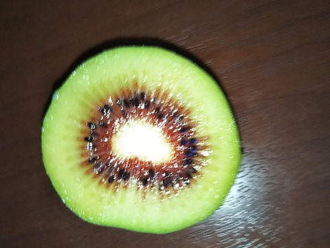 キウイフルーツ　レインボーレッド2.3ｋｇ