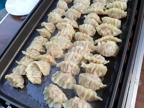 ご家庭で使いやすい！鹿肉ミンチ500g 【ハンバーグ】【餃子】【ジビエ】熨斗対応可