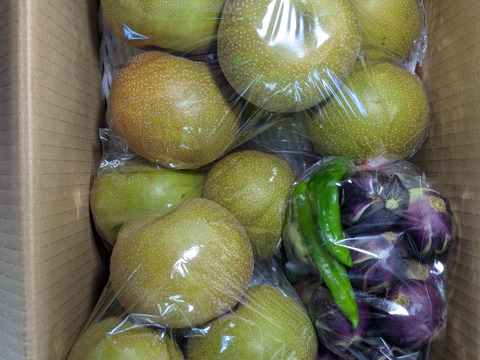 薄皮丸ナスと幸水