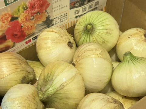 この時期にしか食べられない♪淡路島新玉ねぎ「とろ甘・極早生種」５kg