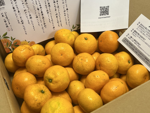 【食べチョクで１番売れてるみかんです！】夕やけみかん（5㎏）（圧倒的人気のみかんです！）