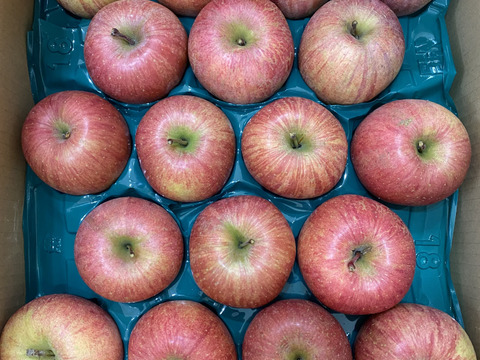 すぐ発送！農薬半減栽培葉取らず樹上完熟サンふじ5k16-23家庭用訳あり　蜜入りもあり❣️　りんご