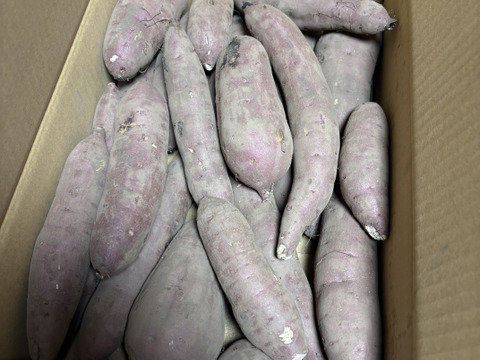 訳あり品】⭐︎5kg⭐︎熟成！蜜たっぷり紅はるか♪さつまいも⭐︎限定