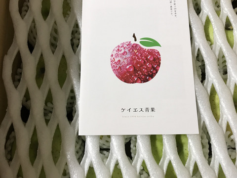 青森県産りんご「ぐんま名月」5kg+「王林」5kg 家庭用 キズ有 セット