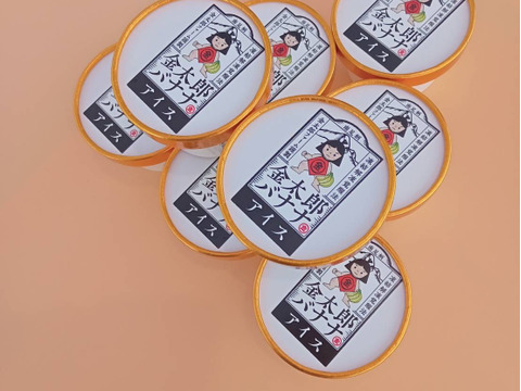 農薬不使用金太郎バナナアイス８個入り