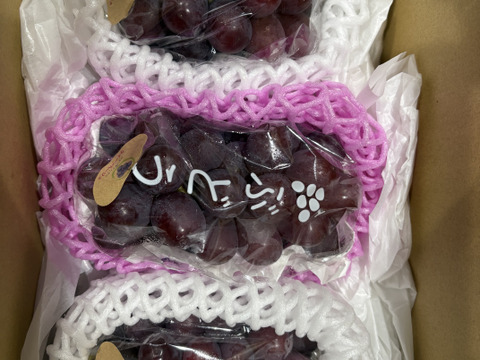 ◯完売御礼◯【家庭用】クイーンルージュ　1.0kg/2~3房