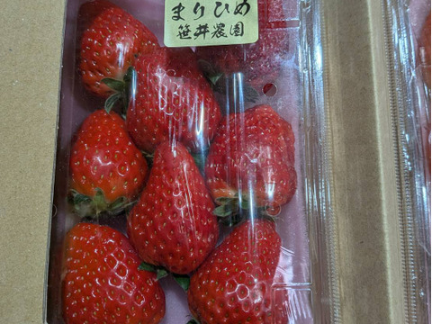 朝採れ、収穫いちご　まりひめ　500g (250g × 2p)
