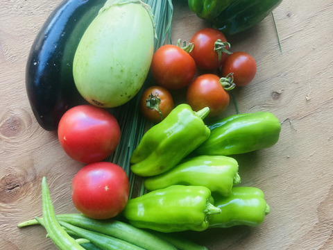 グリーンカレー専用お野菜セット 8種類セット