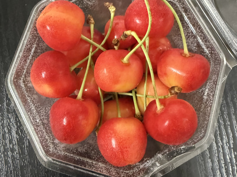 〈早期予約販売🍒20箱限定〉〈山形新さくらんぼ〉やまがた紅王　2Ｌ玉　200g　ダイヤパック　６月中旬～７月上旬発送　さくらんぼ