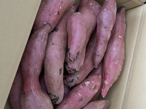 訳あり！熟成紅はるか　5kg  さつまいも