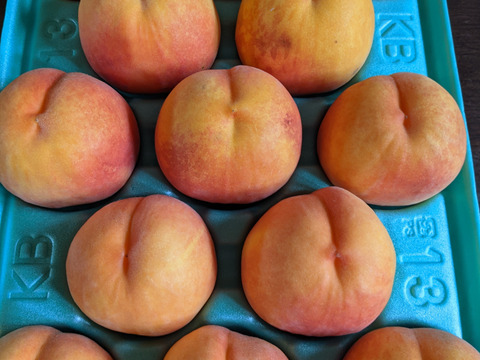 【7月下旬～発送】朝採りの樹上完熟・小布施町のみずみずしい桃「黄金桃」　自家用3キロ
