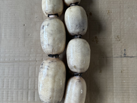 お歳暮専用！『お世話になったあの方へ！』著名人御用達レンコン（2キロ）