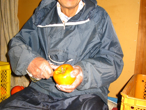 年末の大人の支度〜山梨の枯露柿〜（化粧箱プレミアム3号）〜