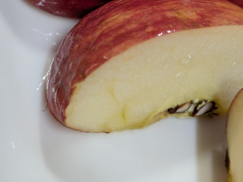 りんご　サンふじ　約６８％農薬カット　20-23個　約6キロ　小玉多め　天然冷蔵庫で冬越したもの。シワシワ有りで、かなり鮮度落ちてます。