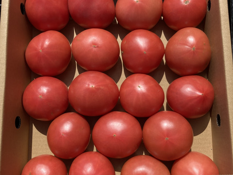 ミニトマト250ｇ×4袋  とトマト4玉