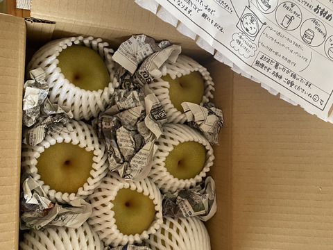 令和8年8月発送【予約】梨 幸水 良品2.2kg‼️ 長野県産