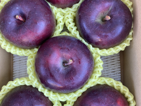 超希少高級りんご　葉取らずこうみつ　2キロ5-8入　蜜入チェック済！　すぐ発送‼️