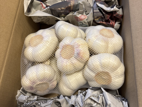 にんにくの概念が変わる!「生にんにく」12玉【数量限定】6月中旬以降お