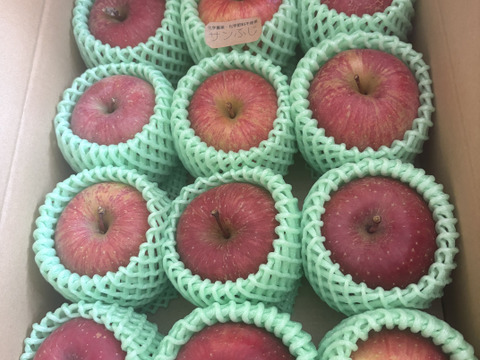 【小玉】☆化学農薬不使用りんご☆サンふじ/小玉12〜15個入り（2.5キロ）