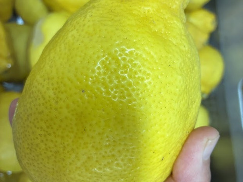 南国果実。【グアバジャム】140ｇ