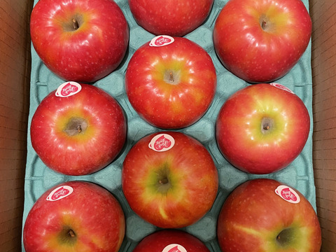 【終わります残り30ケース🍎シャキうま🍎】 ピンクレディー®︎3キロ箱  長野県 信州 安曇野 リンゴ 幻 幻のリンゴ 予約 希少 旬 6玉〜16玉サイズ 商品ID42100