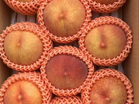 すぐ発送❗️希少な桃！果汁たっぷり！ゴールデンピーチ 信州産 3kg（7～11個）