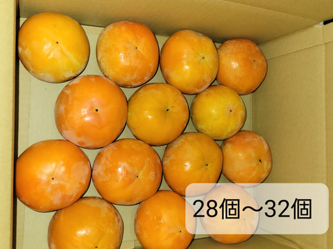 和歌山県産　富有柿　極甘(家庭用)7.5キロ　M～2Lサイズ