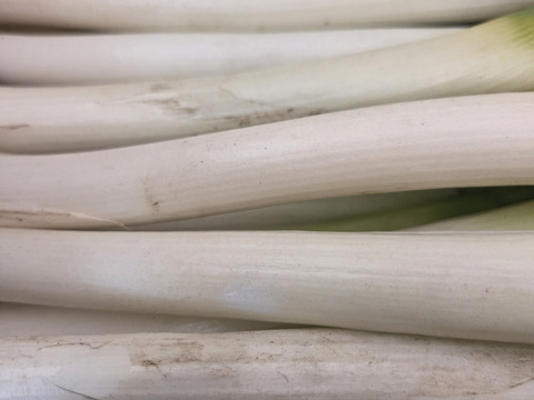 【同梱発送】自然栽培大根×ネギ