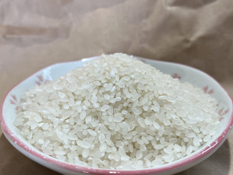 日本一早い石垣島の新米　5kg