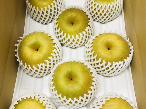 幸水梨　和梨　小玉20個　箱込み５kg　＋16個 楽天市場】梨 幸水/豊水/新高/新興 なし 完熟梨 (秀) M以上〜6L