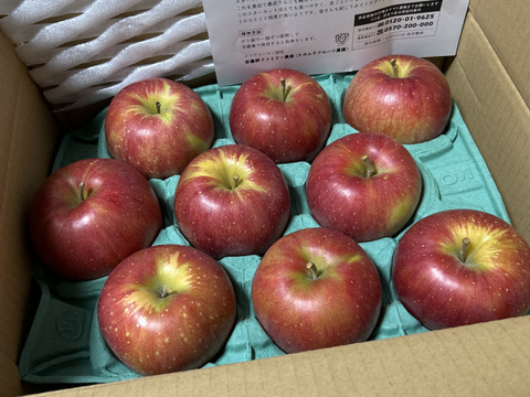 残り5ケース早い者勝ち🍎シナノリップ3キロ箱 6玉〜15玉サイズ 商品ID41076 長野県 信州 安曇野 リンゴ 幻 幻のリンゴ 予約 希少 旬