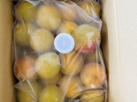 大粒の南高梅を冷凍し風味そのままお届け！！（１ｋｇ×２袋入）