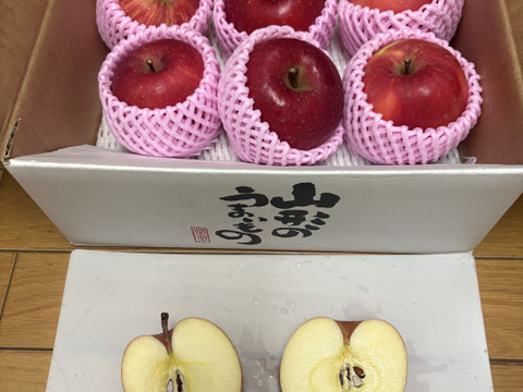 蜜入りりんごの代表格 サンふじ🍎 2キロ (6〜9玉)  ギフト 予約 りんご 農薬節減 さんふじ【11月上旬〜】