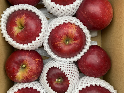 【クール便】紅玉❗️秋映詰合せ❗️3kg箱  信州りんご