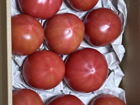 クロネコさんでのお届け希望の方「王様トマト」約１.８ｋｇ箱・品種名：「ごほうび」