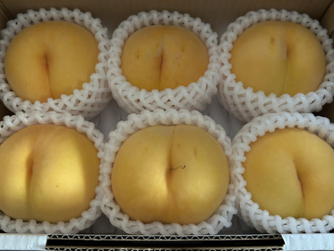 黄金桃～桃なのにマンゴーの様な香り～　訳あり　１．５ｋｇ（４～９玉）