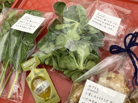 【期間限定】【春ギフト】花と野菜をミックスしたブーケ BOXタイプ【カラフルなミニ野菜】【お誕生日】【開店祝い】【周年祝い】【お供え】