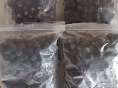 『加工用冷凍ブルーベリー3キロ』冷凍庫に余裕のある方に！ジャムやスムージーにどうぞ👍数量限定です！