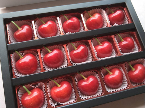 【予約2024年6月下旬〜】やまがた紅王🍒さくらんぼ新品種！特秀チョコ箱15粒入
