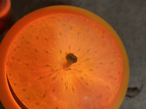 農薬散布3回のみ！超農薬削減栽培こうとく　蜜入チェック済！箱込約1.5キロ6-10個位！　奇跡のりんご