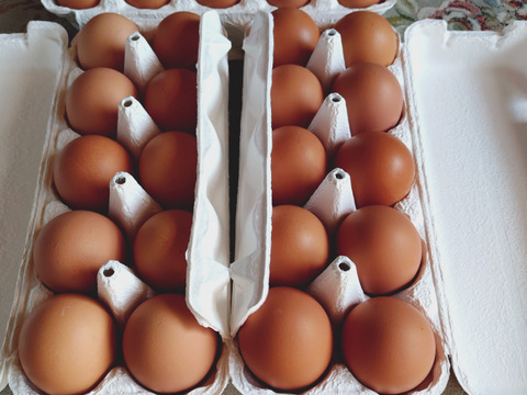 10個入れパック入り国産鶏種もみじの新鮮たまご27個(30個入り3個割れ保障、10個入れ3パック）