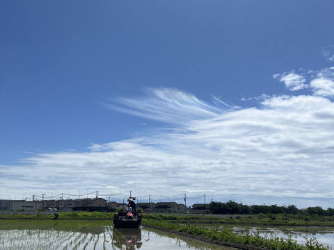 【食卓に笑顔を】令和７年つきあかり白米５ｋｇ